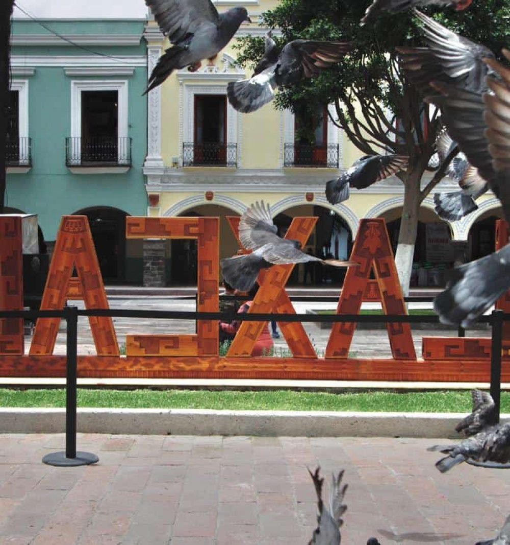 Tlax8 (1)